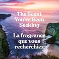 thumbnail image 4 of Bougie parfumée Yankee Candle Signature, bougie en pot format grand, 4 of 8
