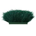 thumbnail image 2 of pitrice 1 Yard Dyed Ostrich Feather Fringe Trim Ribbon Embellishment Dark green, 2 of 8