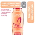 thumbnail image 1 of L'Oréal Paris Hair Expertise Dream Lengths Split End Sealing Shampoo, With Castor Oil and Vegetal Keratin for Long, Damaged Hair, 828ml, 1 of 8