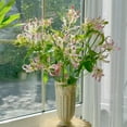 thumbnail image 3 of GSDWIUEW Bulbes de Rothschildiana Gloriosa (Lys de Feu/lys en Flammes) - Vigne Grimpante Exotique Fleur 8 Pcs / 20 Pcs Floraisons Rouges et Jaunes Vibrantes pour Jardin et Contenants (Rose,8), 3 of 6