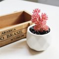 thumbnail image 4 of Coofit 3PCS Artificial Succulents Mini Decorative Potted Fake Succulents Faux Plants, 4 of 9