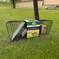thumbnail image 4 of Rugged Ranch CatchMor Live Animal Multi Catch 2 Pack Trap, 1 Large & 1 Small, 4 of 9
