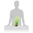 thumbnail image 3 of Fluval Bamboo Shoots Plant for Aquarium, 14-Inch, 3 of 3