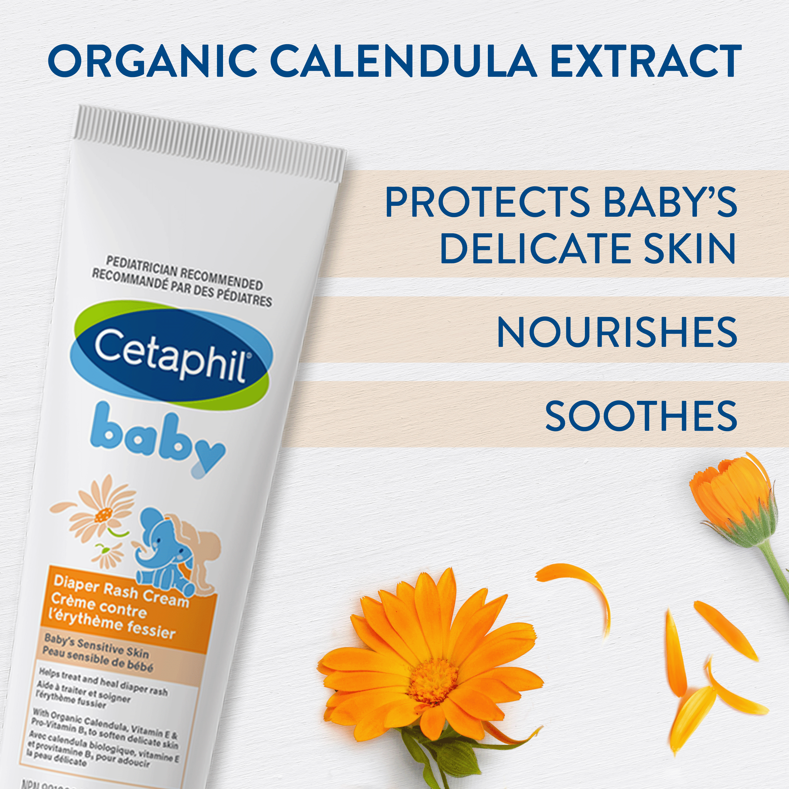 CETAPHIL BABY CRÈME CONTRE L’ÉRYTHÈME FESSIER CETAPHIL BABY 70g
