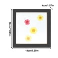 thumbnail image 4 of yeacher Double-Sided Glass Dried Flower Frame - Black Square 7 Inch (18x18cm) for DIY Home Decor, 4 of 6