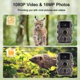 thumbnail image 4 of 1080P Trail Camera 16MP Wildlife Scouting Camera Tracking Camera with 2.0 Inch TFT Color Screen 0.8s Trigger Time Supports Infrared Night Vision Motion Activated IP66 Waterproof, 4 of 9