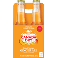 thumbnail image 1 of Canada Dry Pêche Mangue Soda Gingembre4x355ml, 1 of 3
