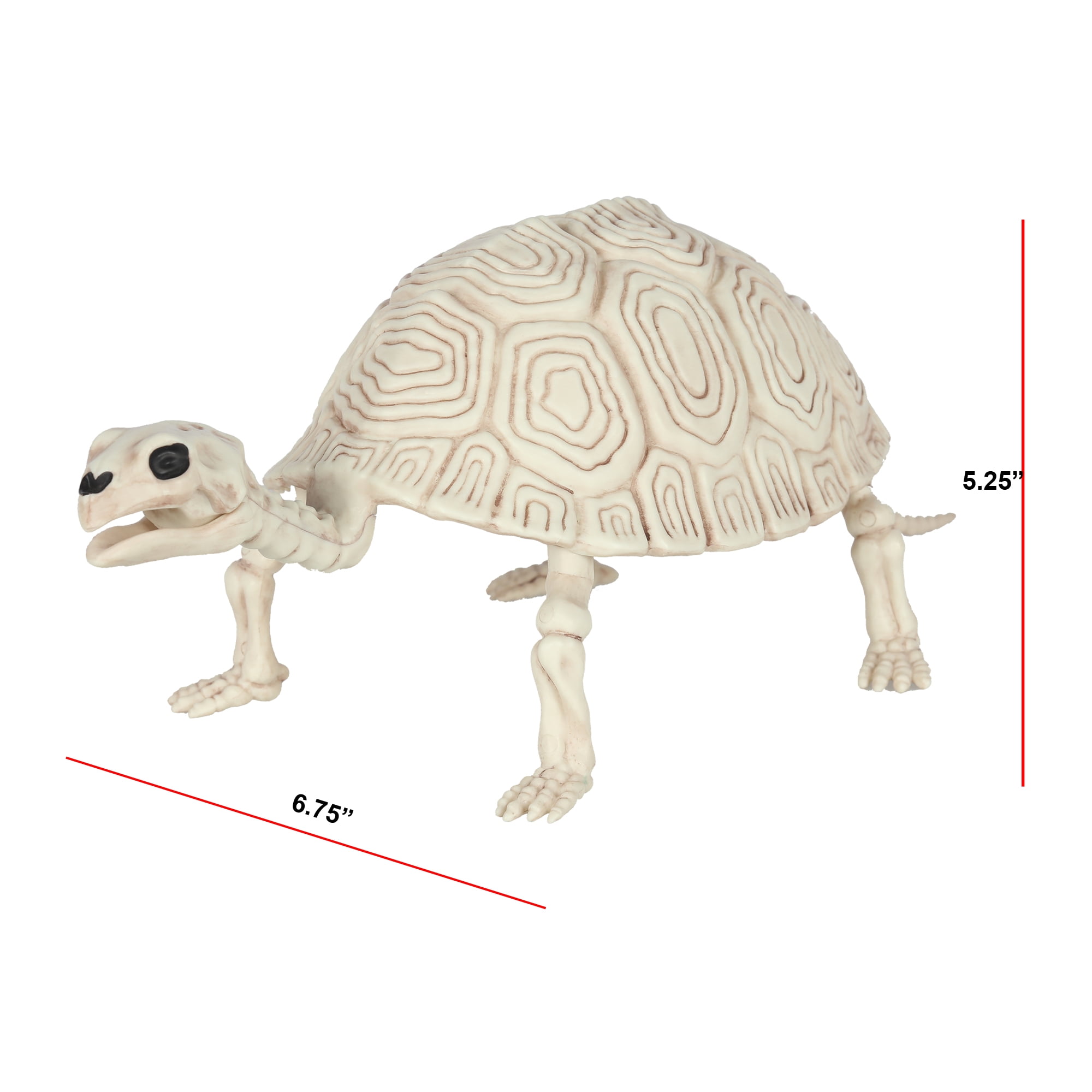 Way To Celebrate Halloween Turtle Skeleton 5.25"H