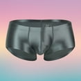 thumbnail image 1 of Men's Underwear Breathable Sheer Shiny Low Rise Briefs for Daily Comfort and All-Season Wear, 1 of 3
