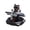 Black, variant on Binwennn Solar Powered Air | Rotating Cartoon Shape Solar Energy Car Air Purifier Airplane Perfume Ornament For Workplace Desk Clarinet Ornament Hippopotamus Ornament Christmas Ornament Vintage