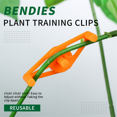 thumbnail image 2 of 50PCS Plant Branches Bender Training Clips Garden Trainer Clips 360°Adjustable Holder for Stress Training Tools Green, 2 of 5