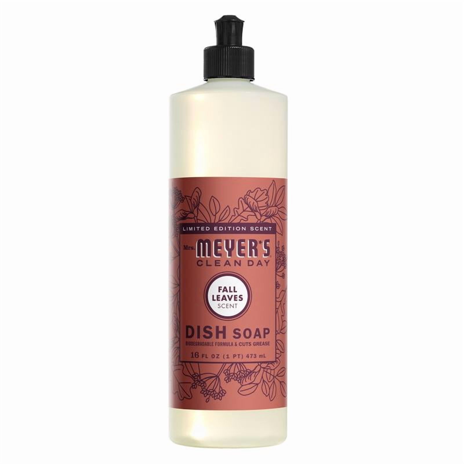 DISH SOAP FAL LEAVE 16OZ(Pack of 6)