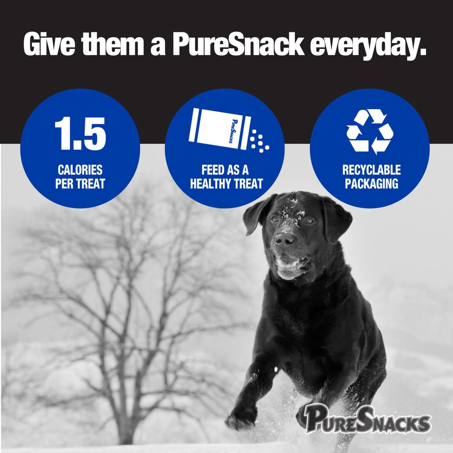 Mini-PureSnacks Gâteries d'Entraînement Séchées à l'Air, Thon pour Chien 396g