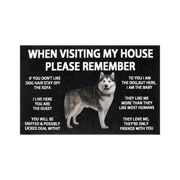 TIELUTT Durable Indoor Outdoor Welcome Mat for Owners Non Entrance Rug for Muddy Easy Clean Home Floor Carpet Lightweight Throw Work Blanket Sneaker Carpet Piece of Carpet Large Rug
