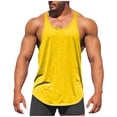 thumbnail image 1 of Lmnyox Men's Workout Tank Tops Cotton Sleeveless Stretchy Training Muscle Tee Quick Dry Athletic Shirts, 1 of 5