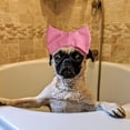 thumbnail image 4 of Cache-oreilles Réutilisable pour Activités de Bain, Douche et Toilettage en Toute Sécurité, 4 of 5