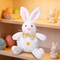 thumbnail image 3 of Drppepioner Easter Bunny Plush Decorative Figurine, 3 of 7