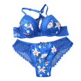 thumbnail image 1 of Clearance Sale 2025 Intimates Up Bra Underwear Bra Clearance Sets Embroidery Push Lace Set Extreme Padded, 1 of 4