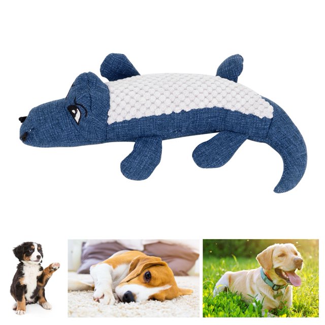 Dog Molar Toy, Toy Non- Squeaky For Puppy Blue,Red,Green