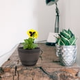 thumbnail image 4 of Barrel Planter Large Planter Pot Garden Tree Planter Garden Flower Pot Large Planter for Patio, 4 of 5