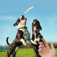 thumbnail image 4 of B Durable Pet Puzzle Toy For Dogs With Food Mechanism Safe Chew Material 7.28 Inches Long Interactive Play For Mental Exercise, 4 of 9