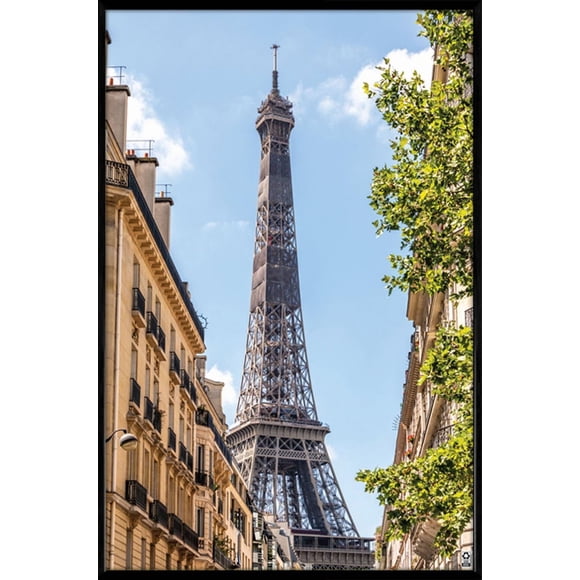 Hometrends Aluminum Poster Frame 20x30 in, Brushed Black finish
