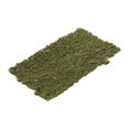 thumbnail image 1 of HILABEE Touffe d'Herbe Statique 3 mm Grappe d'Herbe Modèle pour Chemin de Fer Architectural Chemin de Fer Type C, 1 of 9