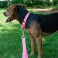 thumbnail image 2 of Collier pour Chien Country Brook Petz Martingale - Collier d'Entraînement Robuste Sans Boucle - Collier de Service pour Tous les Chiots - Collection Vibrante et Colorée (Rose, 3/4 Po, Petit), 2 of 8