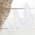 thumbnail image 4 of 50pcs Turkey Feathers for DIY Craft Wedding Home Party Decorations （White）, 4 of 5
