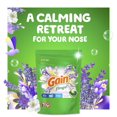 thumbnail image 2 of Gain Flings Liquid Laundry Detergent, Lavender Scent, HE Compatible, 2 of 9