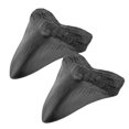 thumbnail image 4 of Liquidation Maintenant! Geine Fossilisé Naturel Megdon Requin Dent Fossile Réel Préhistorique - T1Q4, 4 of 8