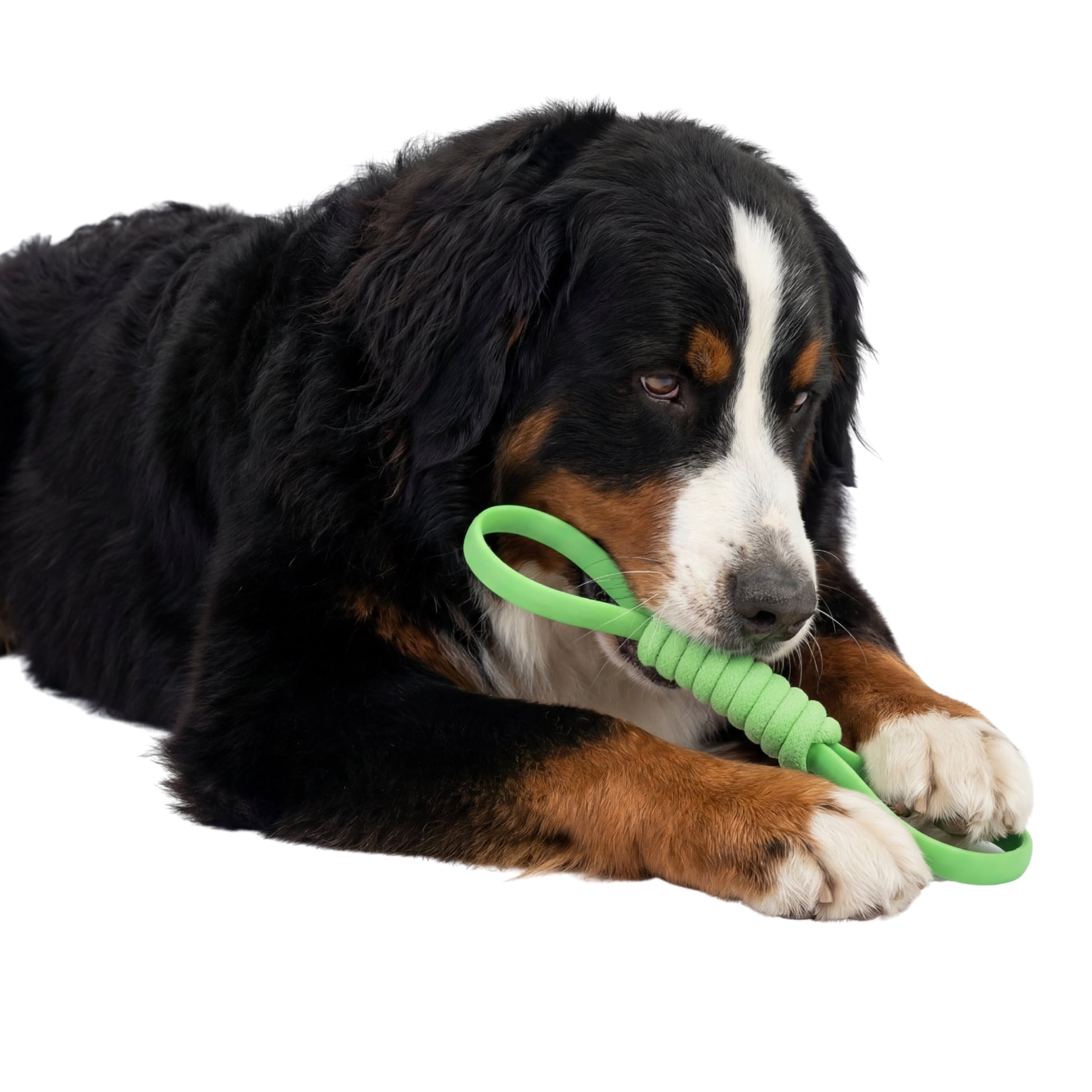 One Paw, jouet à tirer en silicone et corde pour chien, tir à la corde, vert, pour chiens
