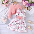 thumbnail image 2 of Splozh Toddler Fall Outfit 2PCS Little Toddler Girls Dress with Cardigan Floral Dresses Ruffle Sweaters Spring Fall Clothes Pink,3-4 Years, 2 of 5