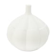 thumbnail image 1 of Hearth & Gear Food Storage Kitchen Organizer Garlic Storage For Efficient Kitchen Organization Unique Design Space Meal Prep Glass Containers with Lids Pantry Organization Pantry Door Organization And, 1 of 6