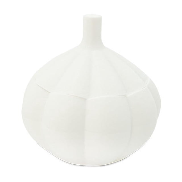 Hearth & Gear Food Storage Kitchen Organizer Garlic Storage For Efficient Kitchen Organization Unique Design Space Meal Prep Glass Containers with Lids Pantry Organization Pantry Door Organization And