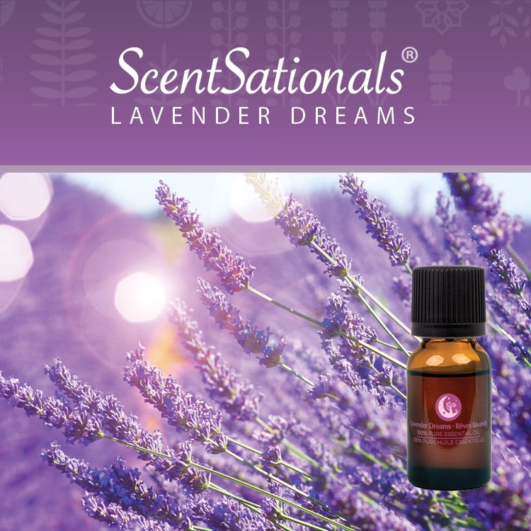 Huile Essentielle 100% ScentSationals - Rêves de lavande