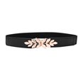 thumbnail image 1 of Ceinture pour Femmes Ensemble Cuir Femmes Créative Ceinture Étroite Ceinture Ceinture pour Femmes Design Robe Mode Ceinture Extensible Adulte Femme Vêtements Noir Taille Taille Unique, 1 of 3
