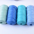 thumbnail image 3 of Hemp Rope Colorful Natural Jute Twine String jute hemp cord Jute Roll Hemp Cord for DIY Art Crafts and Wrapping, 3 of 7