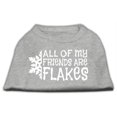 thumbnail image 1 of All My Friends Are Flakes Screen Print Shirt Grey Xxl (18), 1 of 1