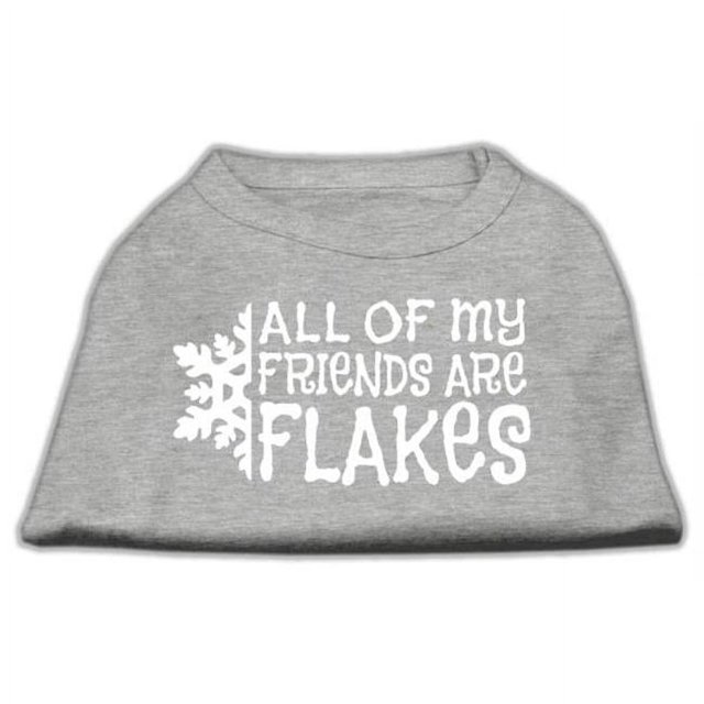 All My Friends Are Flakes Screen Print Shirt Grey Xxl (18)