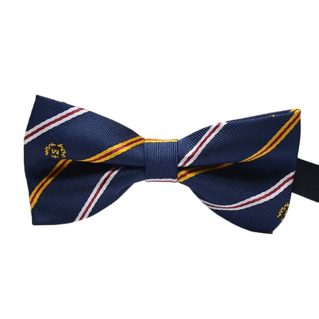 fastboy Cravate Formelle à Motif Coloré pour Hommes Adulte Homme Affaires Réunion Mariage Fil Polyester Nœud Papillon