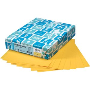 Domtar 81073 Lettermark Papier coloré polyvalent 8-1/2 x 11 Pâte d'or (paquet de 500)