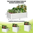 thumbnail image 4 of EDTara Galvanized Raised Garden Bed, Large Outdoor Planter Box with Open Base & Safety Edge, Rustproof Steel for Vegetables, Flowers, Herbs, 4 of 9