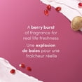 thumbnail image 4 of Dove Body Scrub Pomegranate Seeds & Shea Butter, 425 g, 4 of 7
