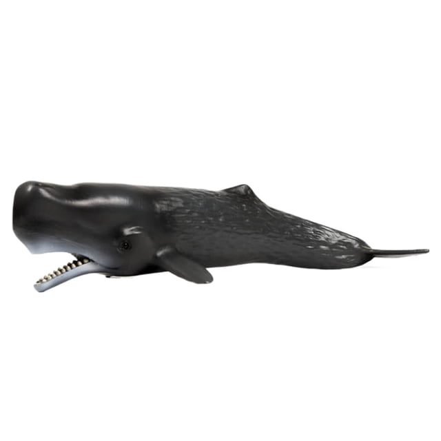 QualitChoice Jouet de Simulation de Requin Cadeau pour Passionnés Requin Modèles d'Animaux Marins Jouets de Simulation cachalot