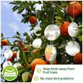 thumbnail image 4 of Qjuhung Bird Deterrent Reflective Discs Repellent Swivel Outdoor 8 Pack, 4 of 7