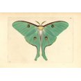 thumbnail image 1 of Affiche Imprimée de Florilegius Mariy Evans (36 X 24), 1 of 1