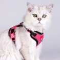 thumbnail image 2 of Sentmoon Kittens Harness Cats Leash Dog And Cats Leash Sleeveless Style Pet Reflective Breathable Leash Suitable For Outdoor Cats And Dog Walking Leash, 2 of 7