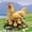A 9E7, variant on Rvkxad Series Acrylic Garden Stakes, Family Themed Ground Insert for Outdoor Potted Decoration, Yard Markers, Lawn Ornaments