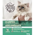 thumbnail image 5 of Special Kitty Clumping Cat Litter With Baking Soda - Unscented, 5 of 5
